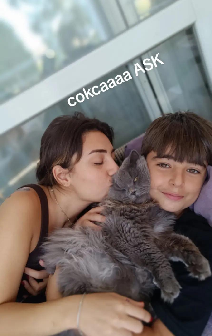 @seda kök