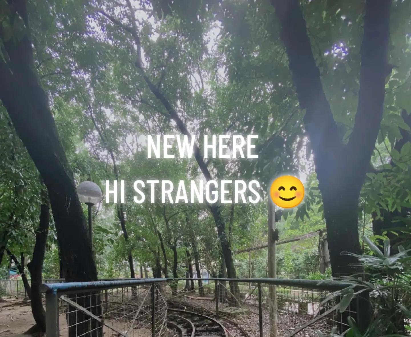 @Yhenggay