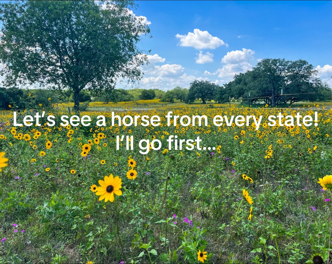 @JusticeRanch