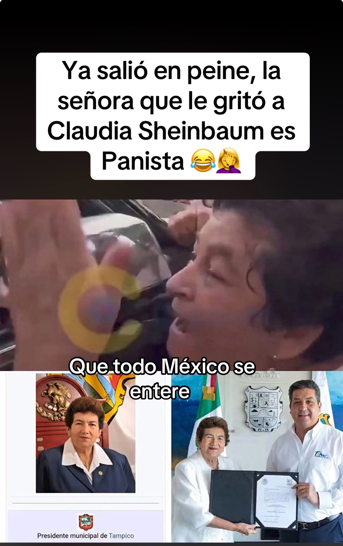 @Reporte-ando