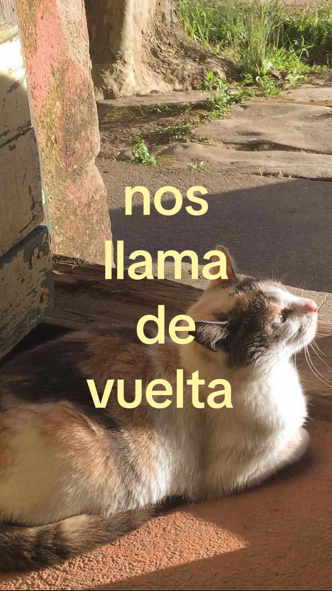 @📿
