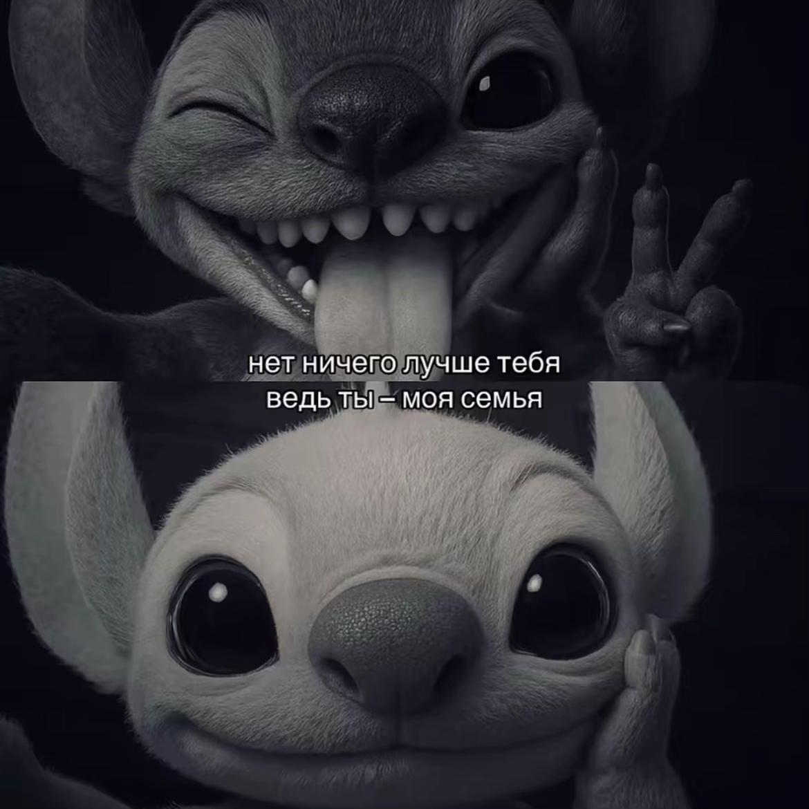 @melli
