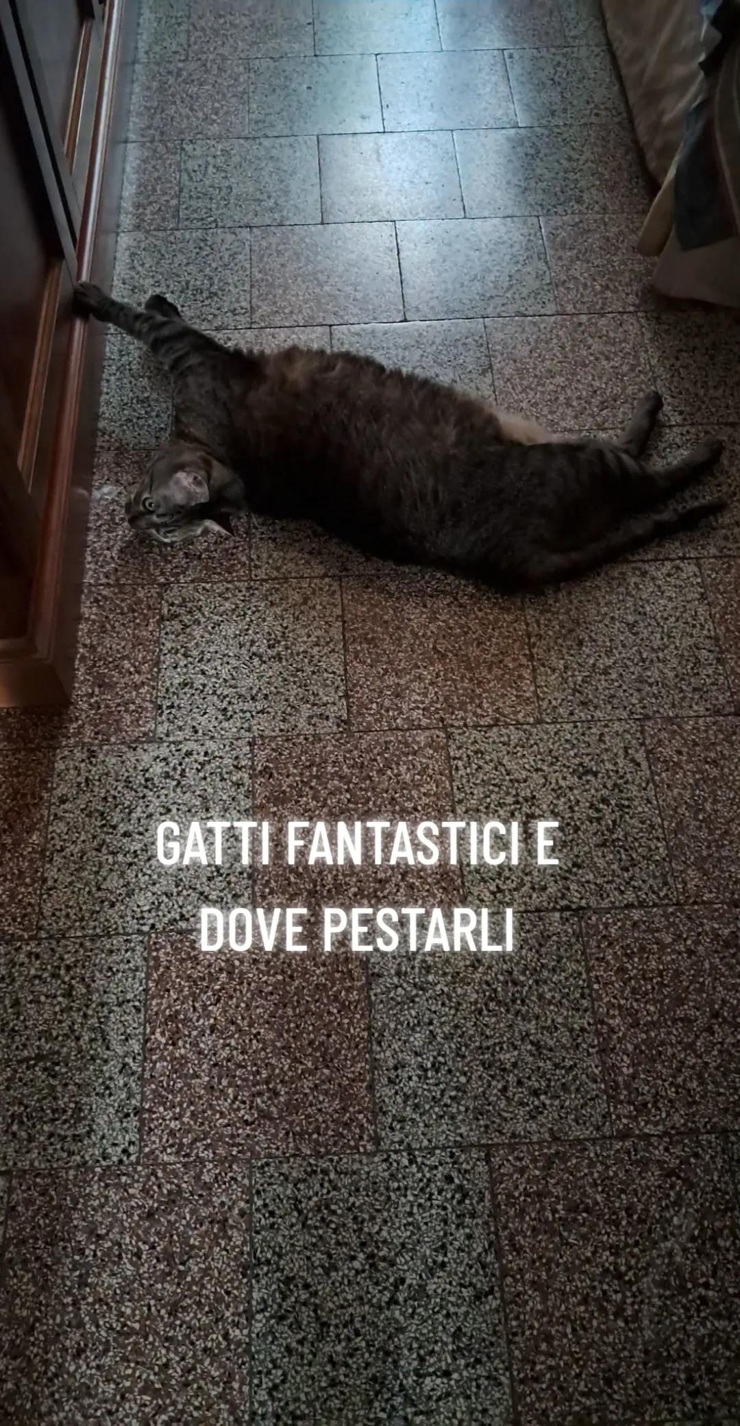 @Simone Casati