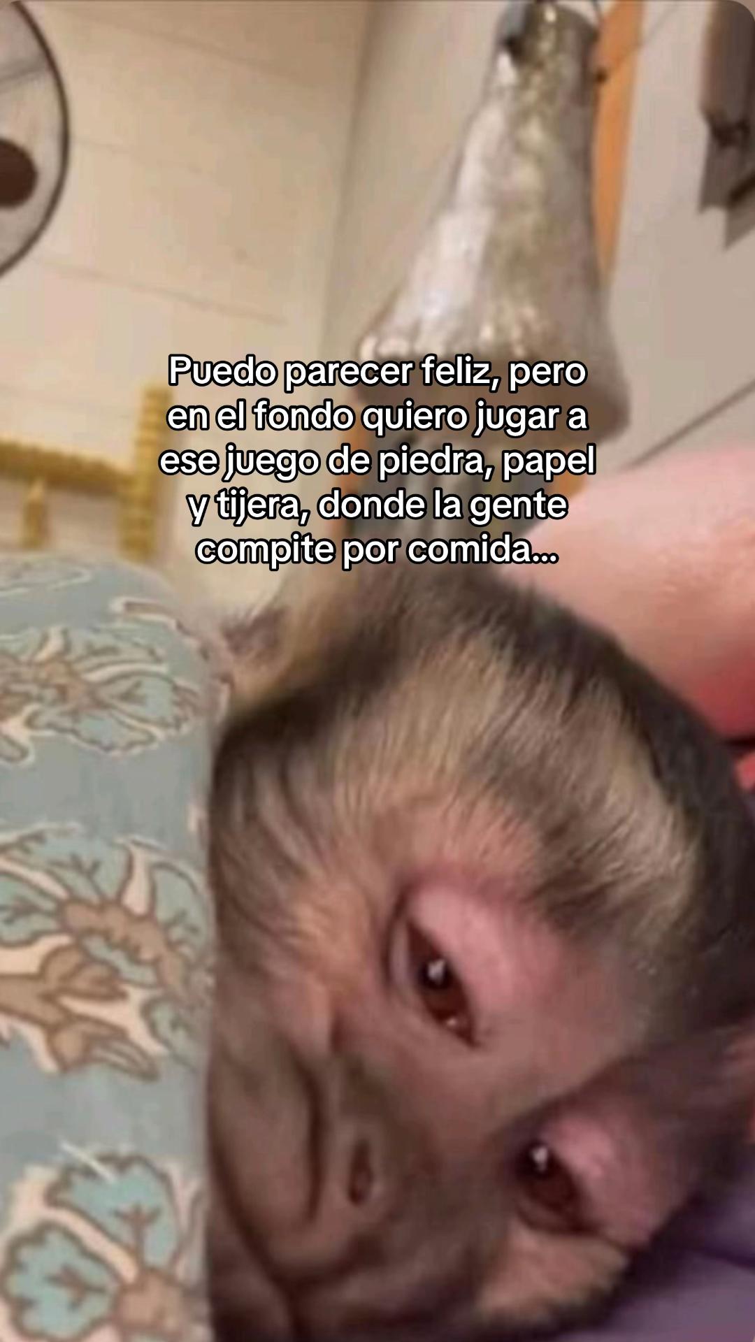 @C 🌸