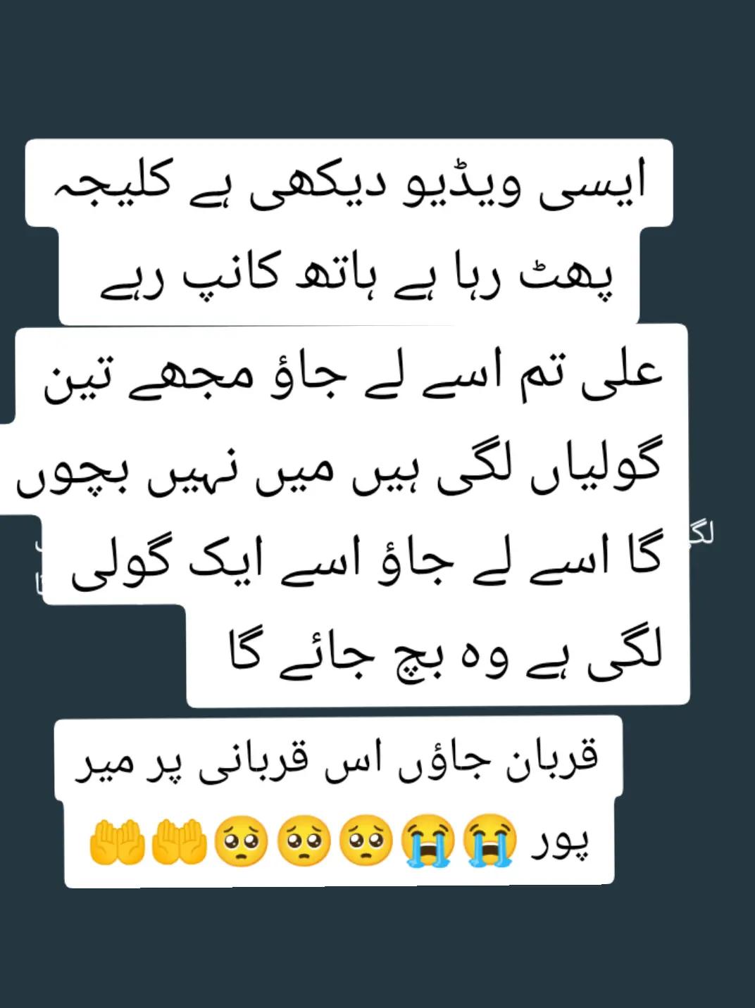 @🍁Sharafat Kashmiri🍁