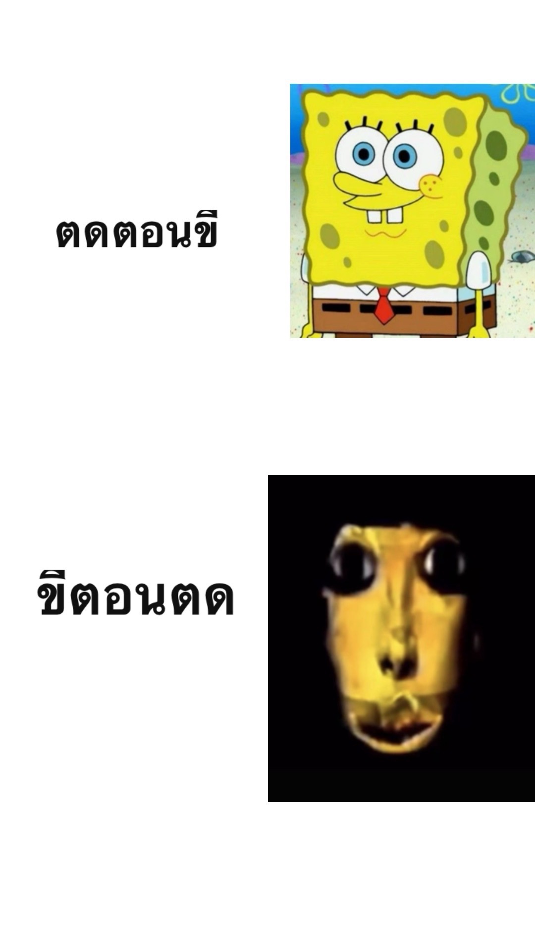 @Gooqman5566
