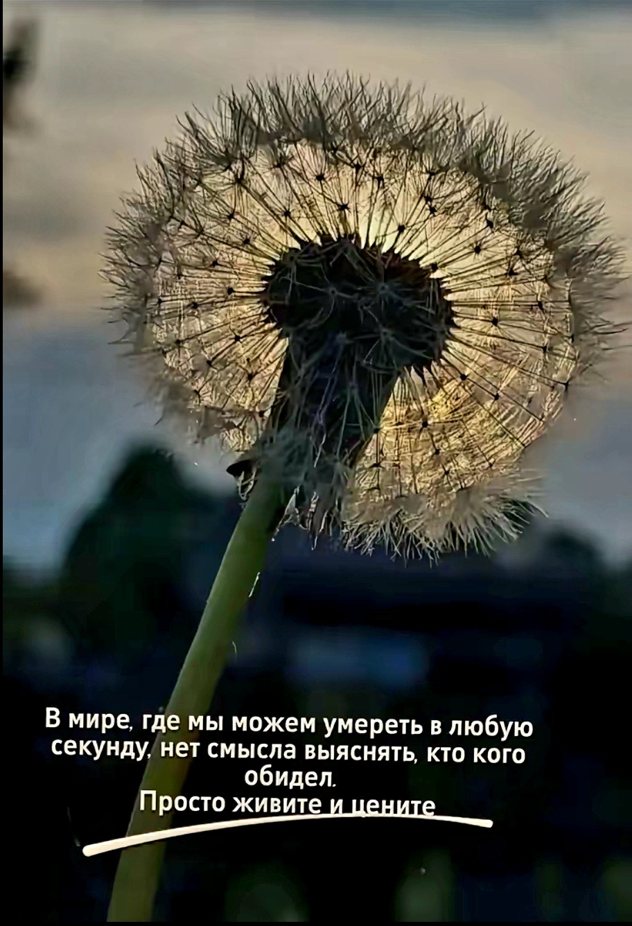 @🪬🧿🍀Ольга🍀🧿🪬