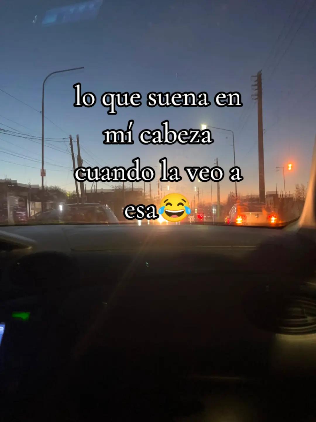 @🌺