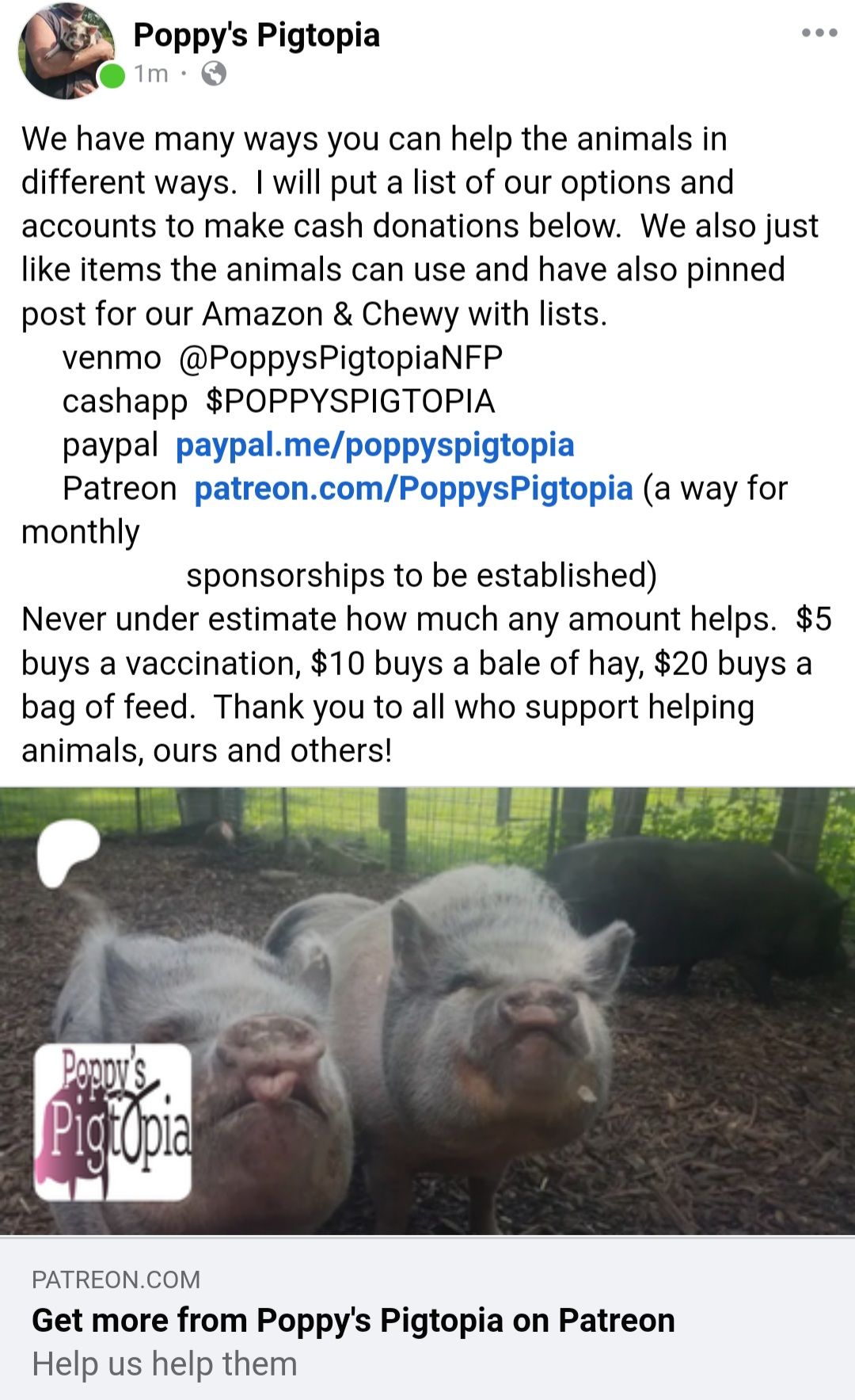 @Christy @ Poppy's Pigtopia🐷🐴