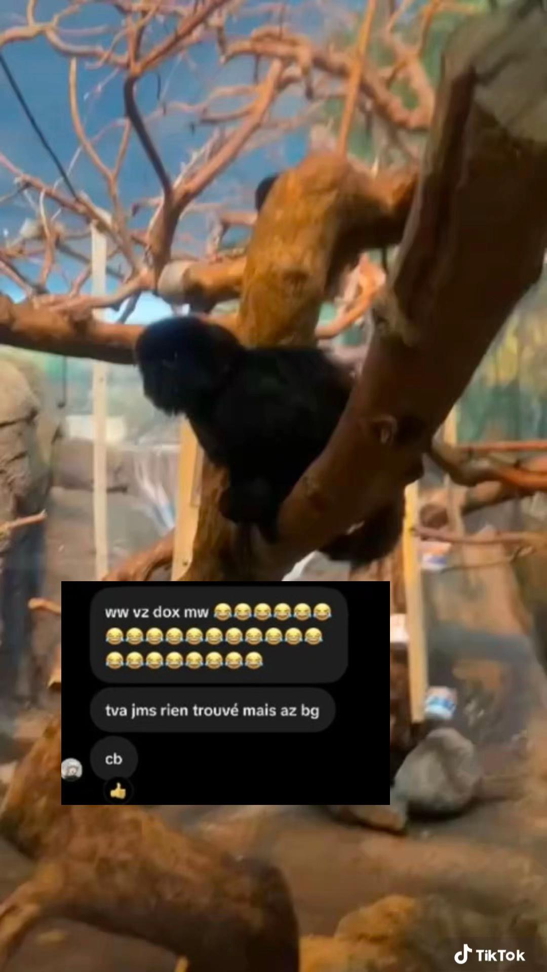@𝑼𝒔𝒆𝒓.𝑬'🐥