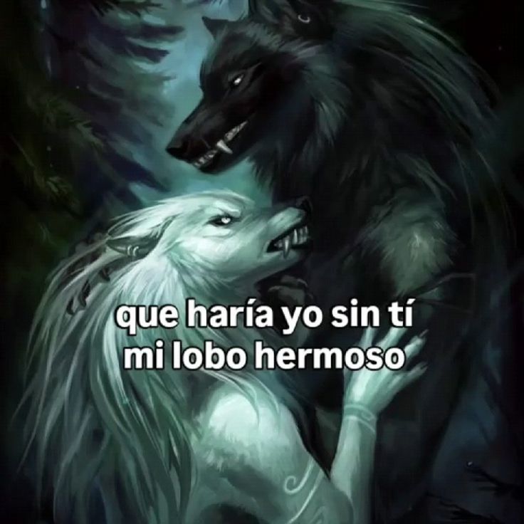 @angenic(camacho' versi&oacute;n)