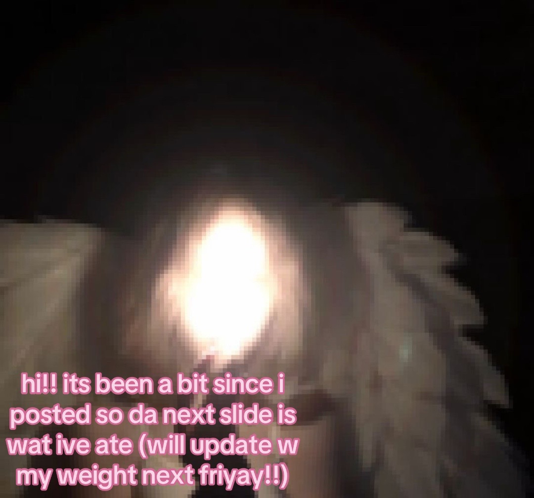 @🪽