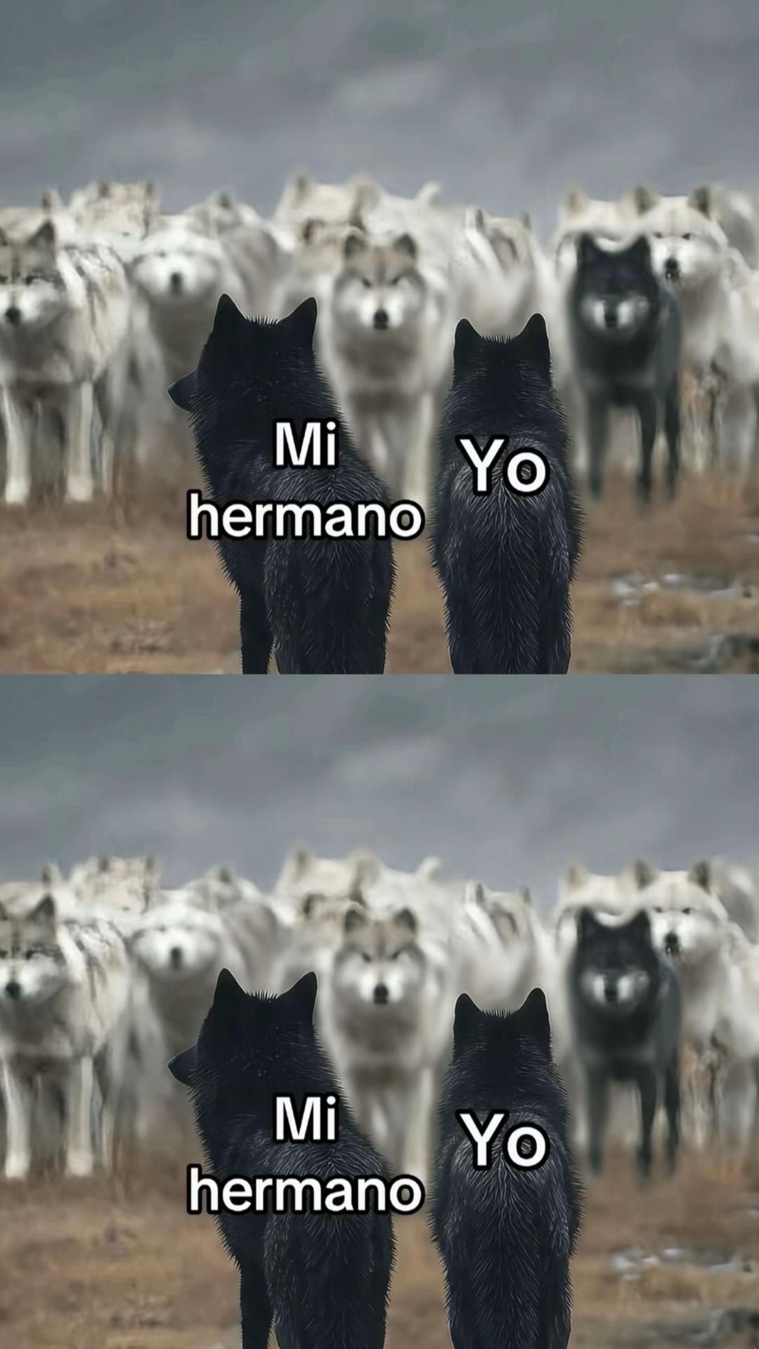 @gabocr7l