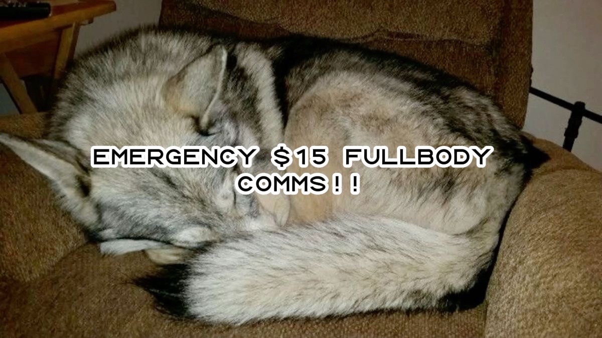 @dog