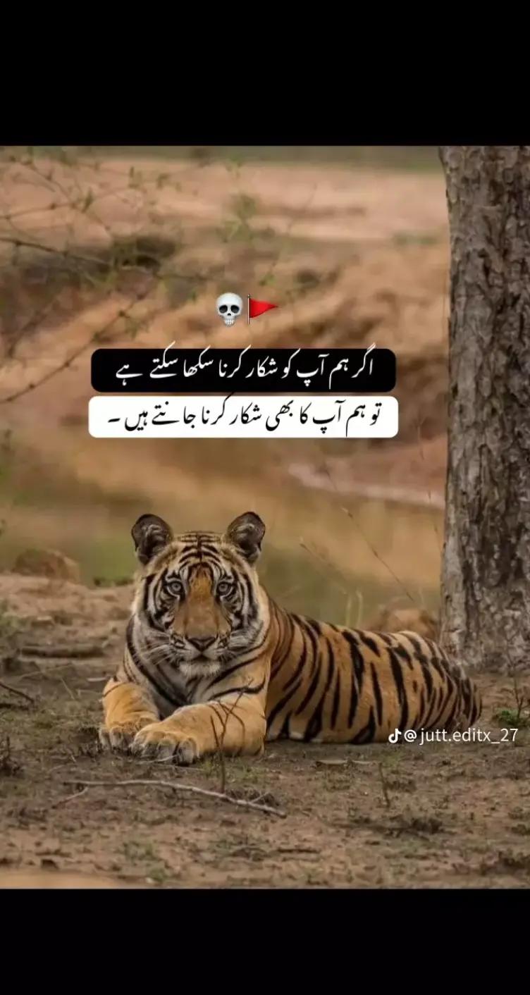 @Rehan Ali