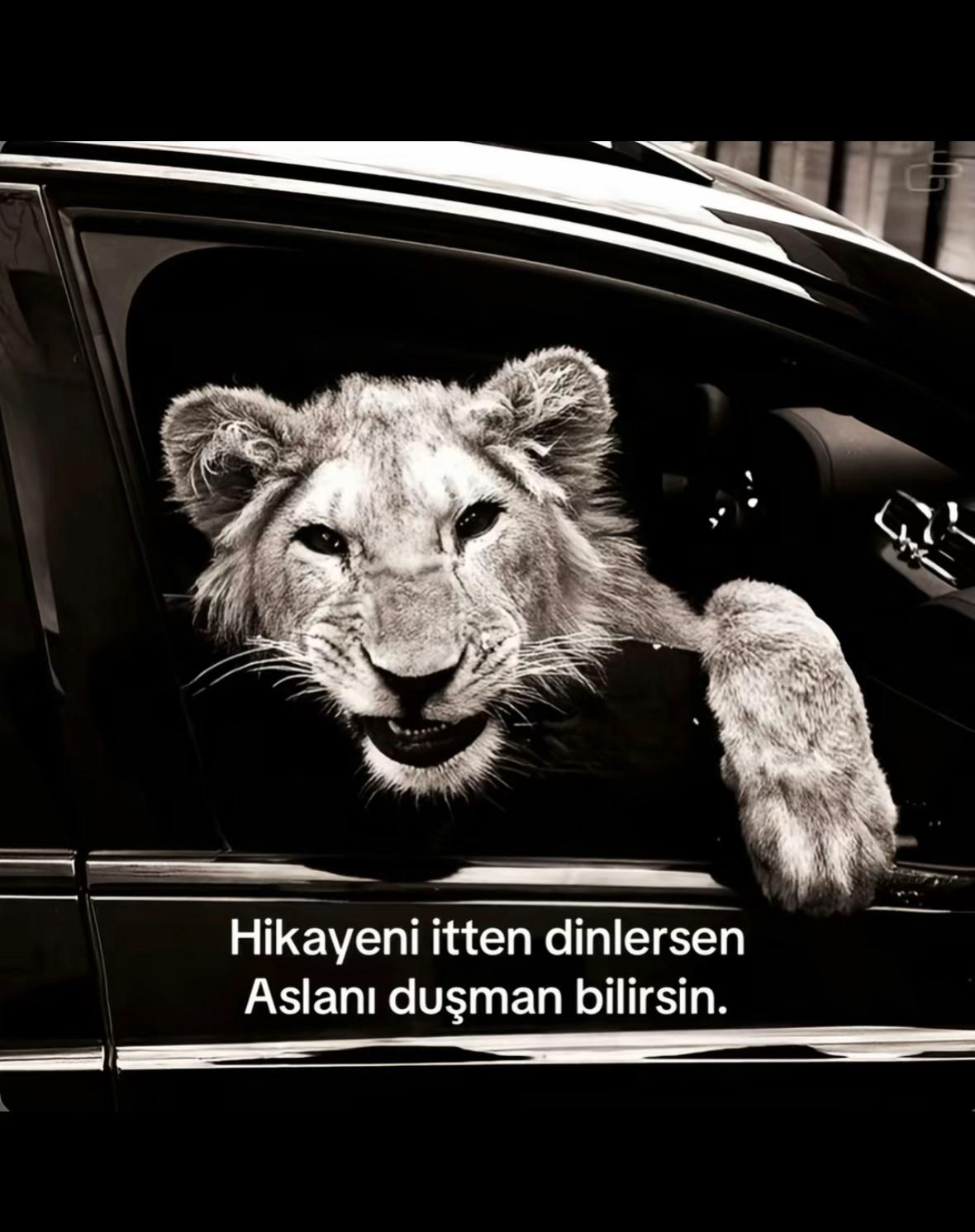 @H&Uuml;SEYİN