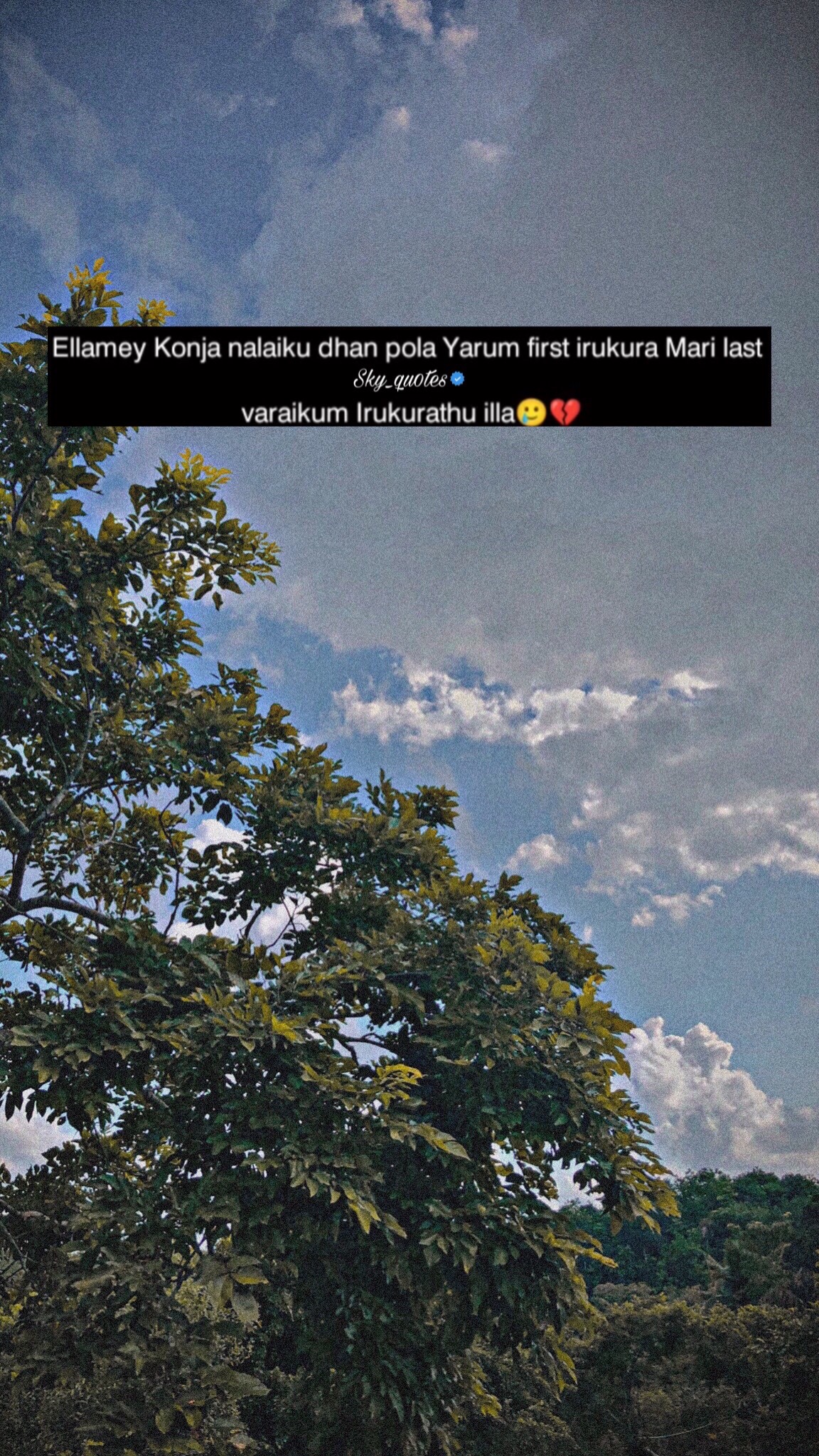 @Quotes 🌚