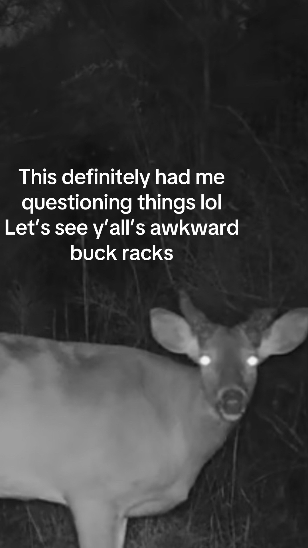 @Toi Batton_GIGI_WTBuckOutdoors