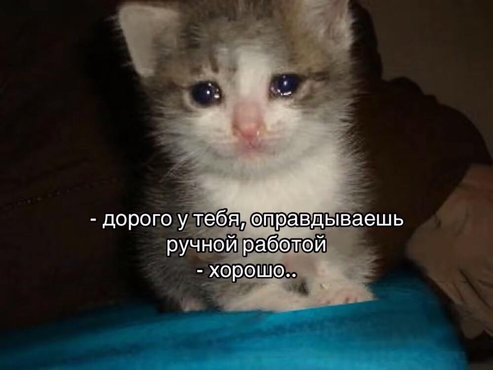 @тг: Чудесности свити ✨