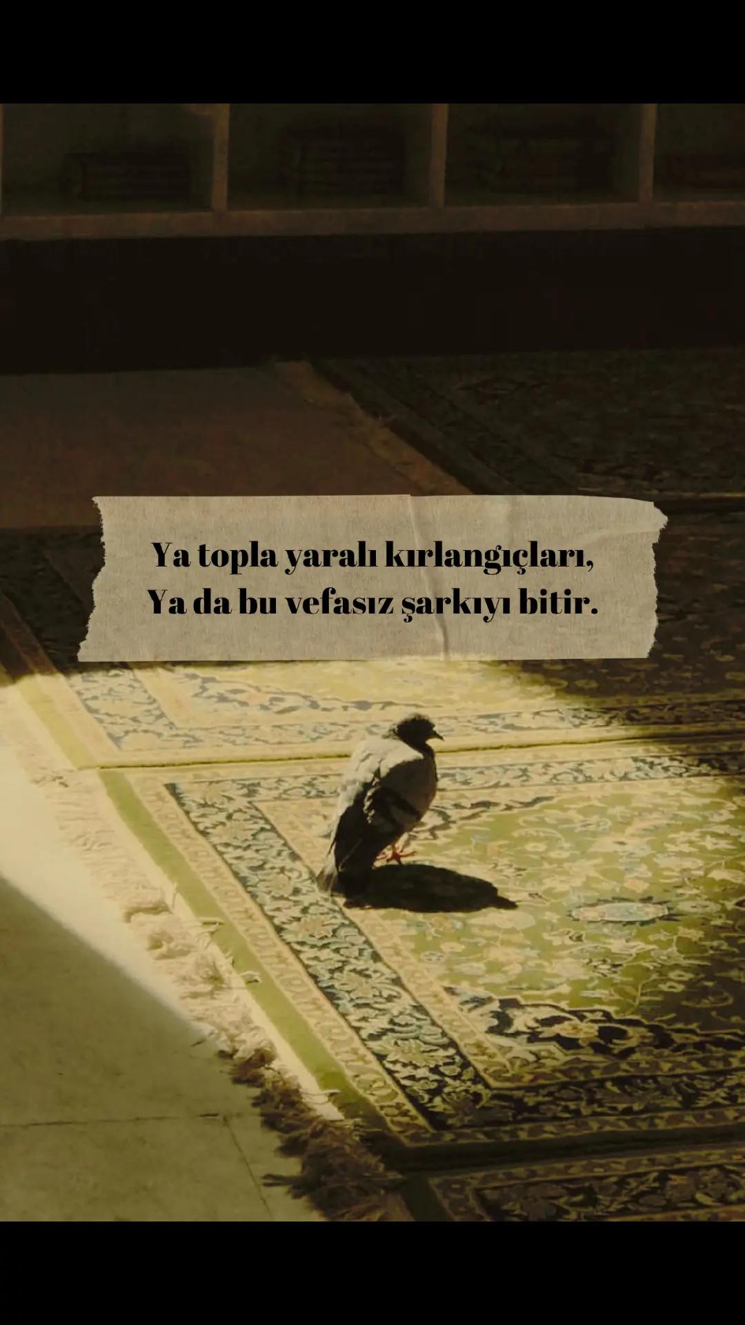 @Tuğba D.
