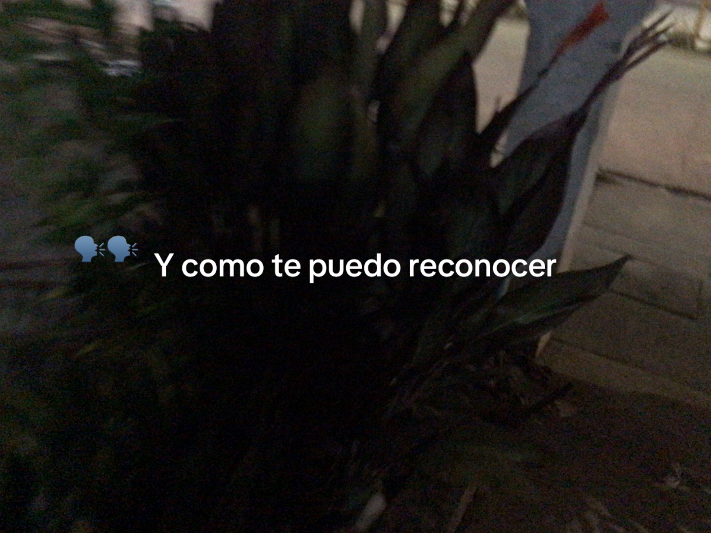 @Cami💜🤞🏻😊🤌🏻
