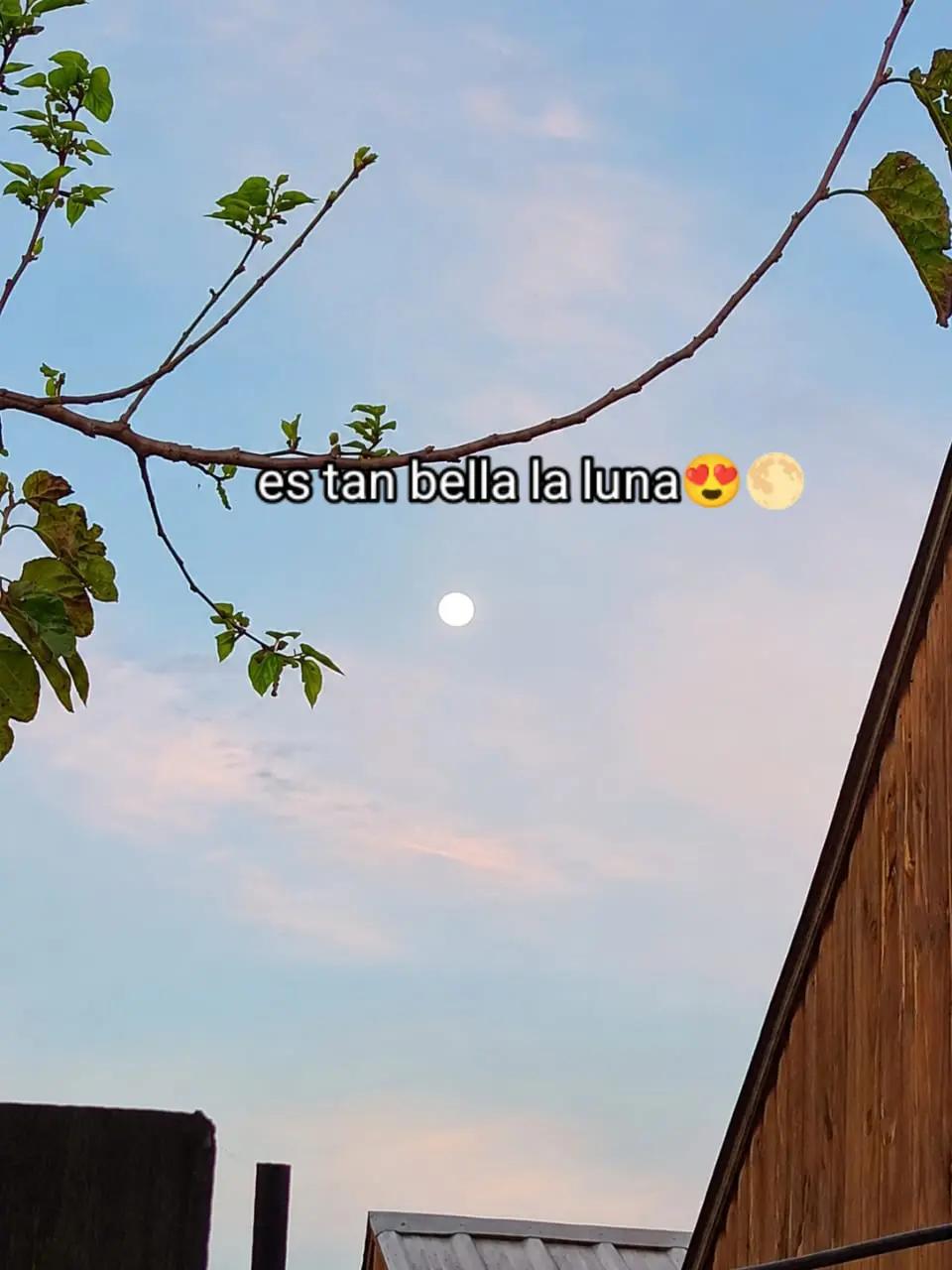 @19/02/2026❤️