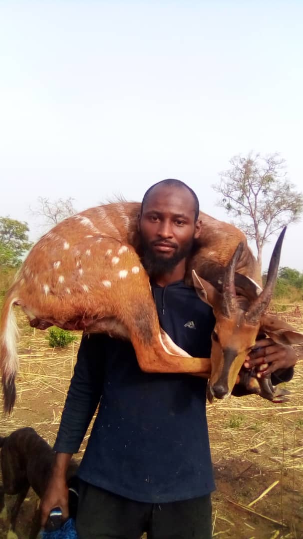 @kamalu dogo