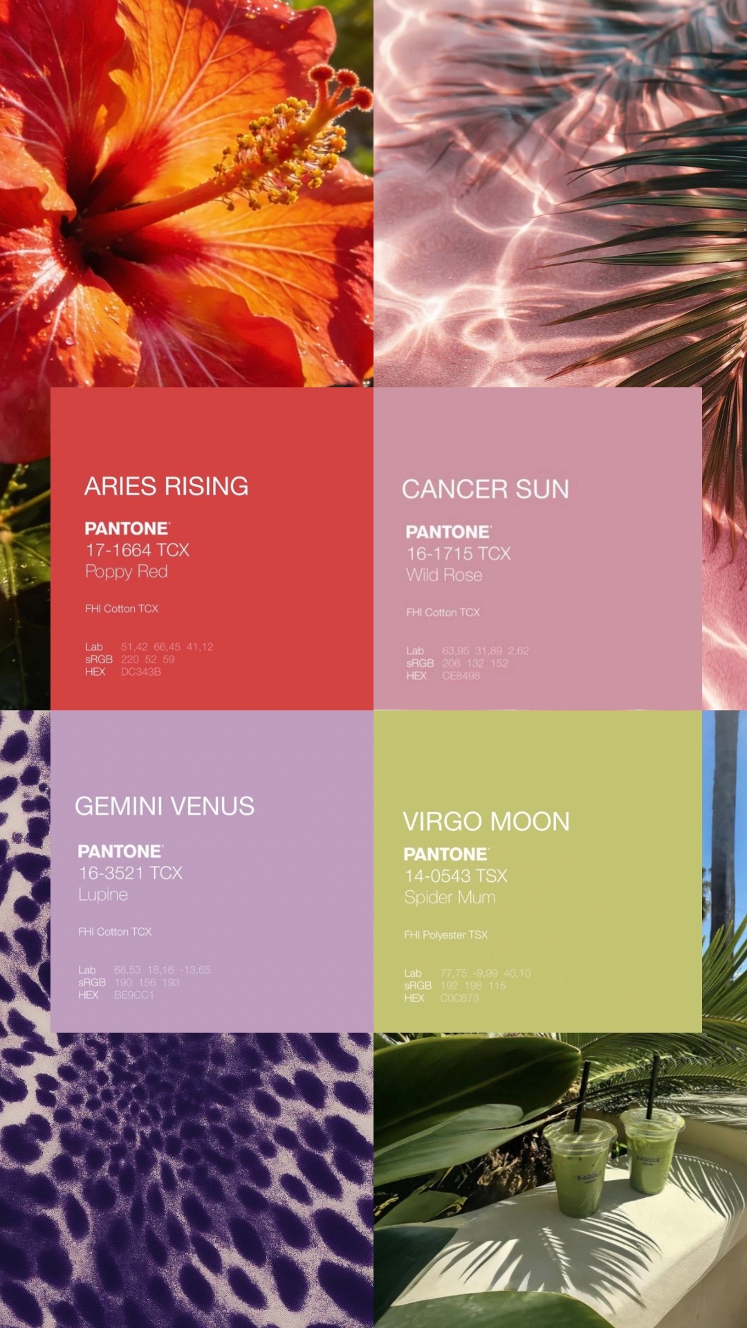 @Mariah Knight🌺🇧🇷𓇼