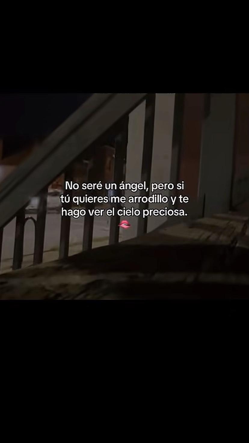 @Tu Sarquito Favorito