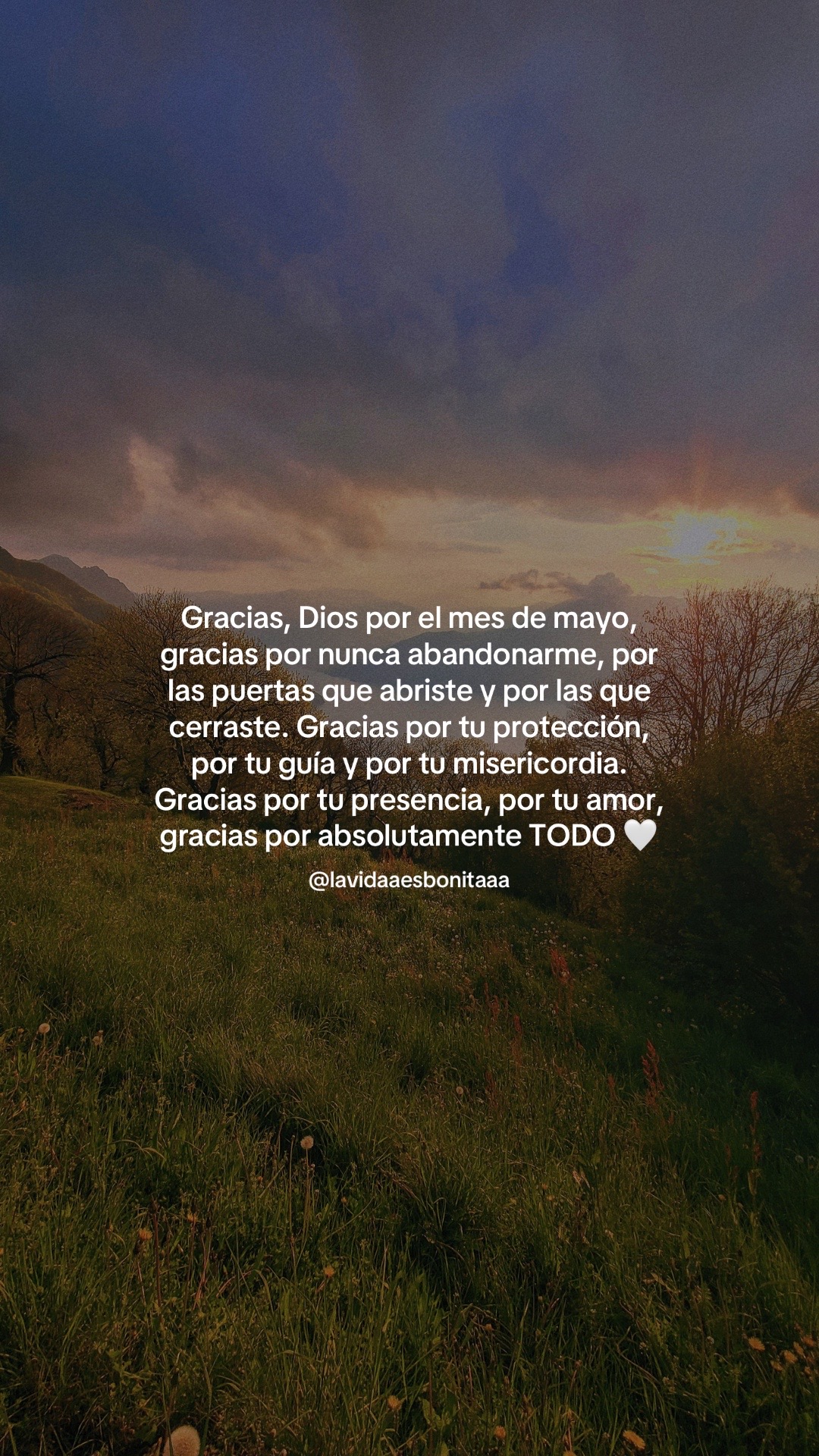 @vidabonita❤️&zwj;🩹