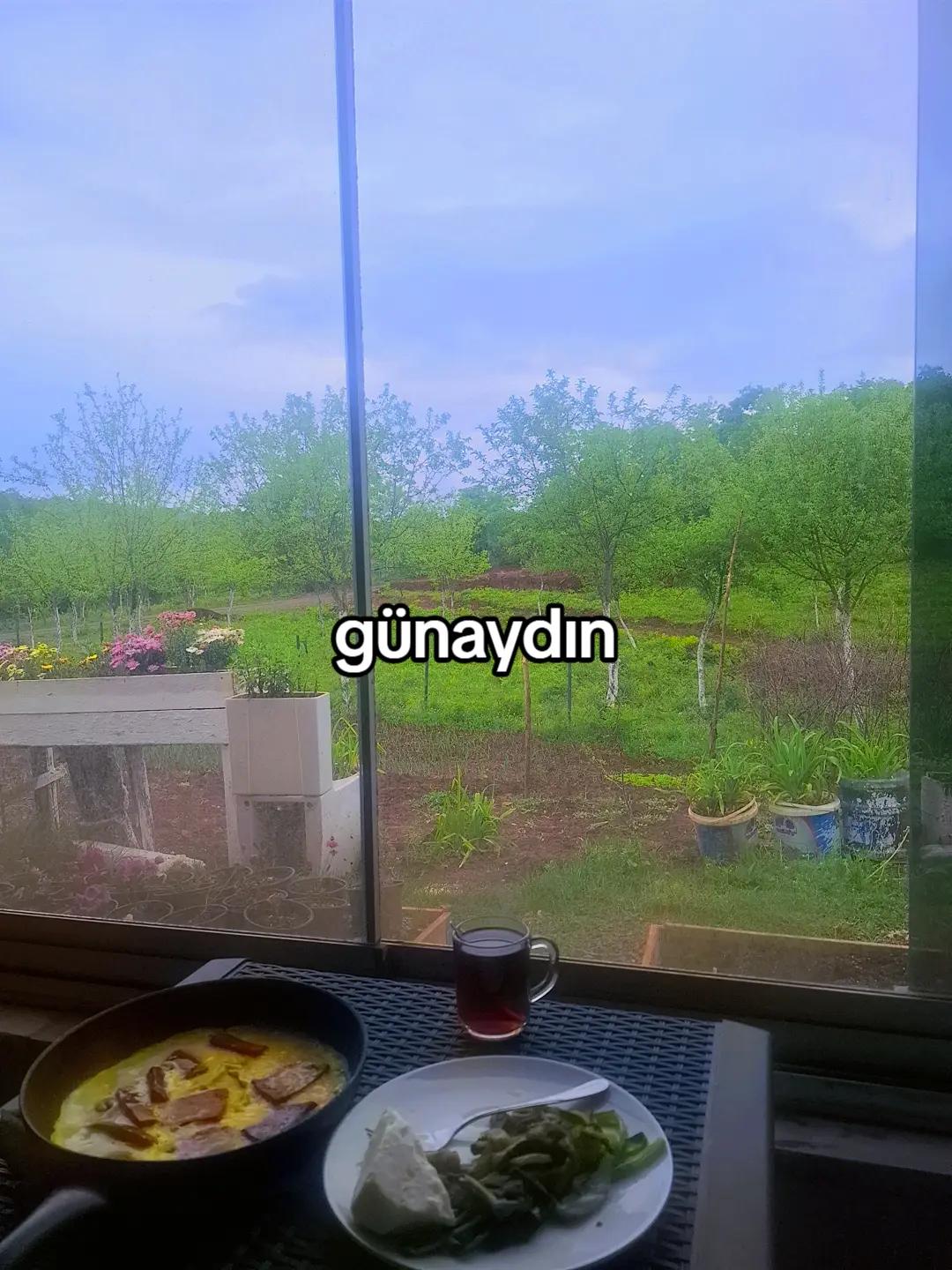 @OZAN🇨🇭İSVİ&Ccedil;RE🏠