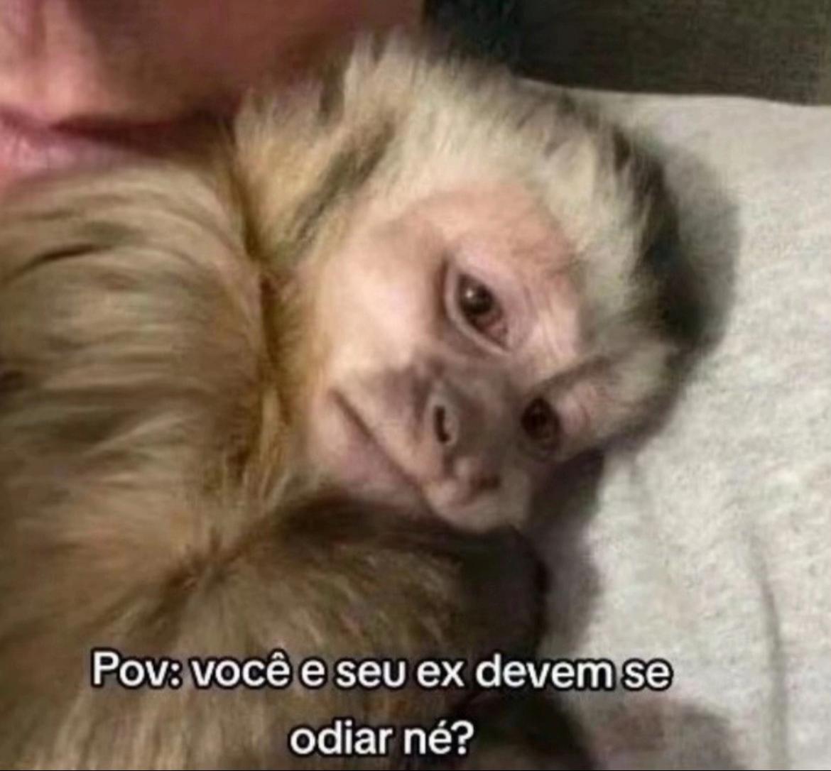 @Esther Santos