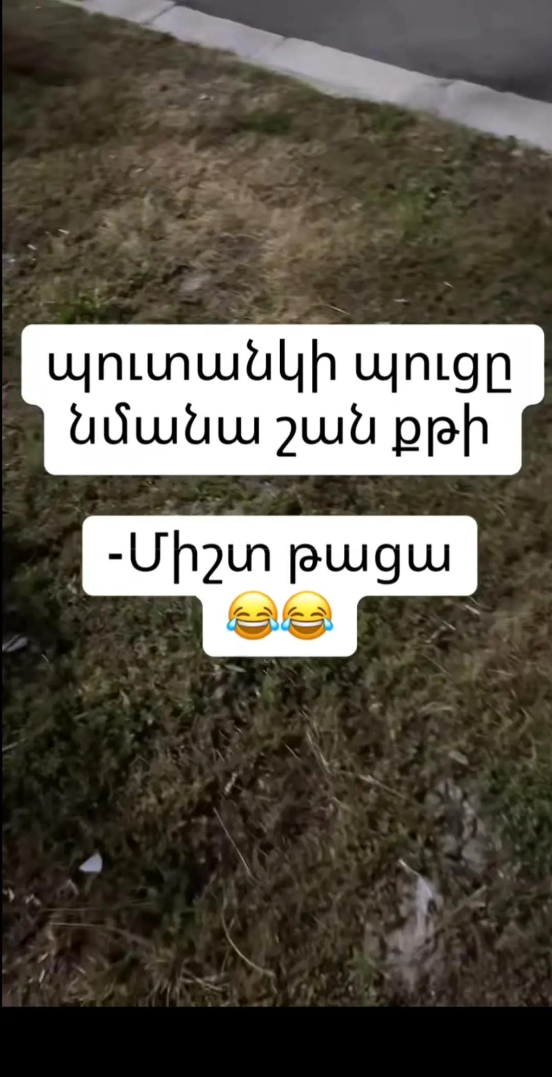 @anikdotner