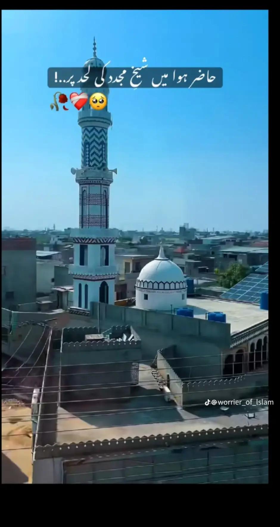 @Muzamil Hayat