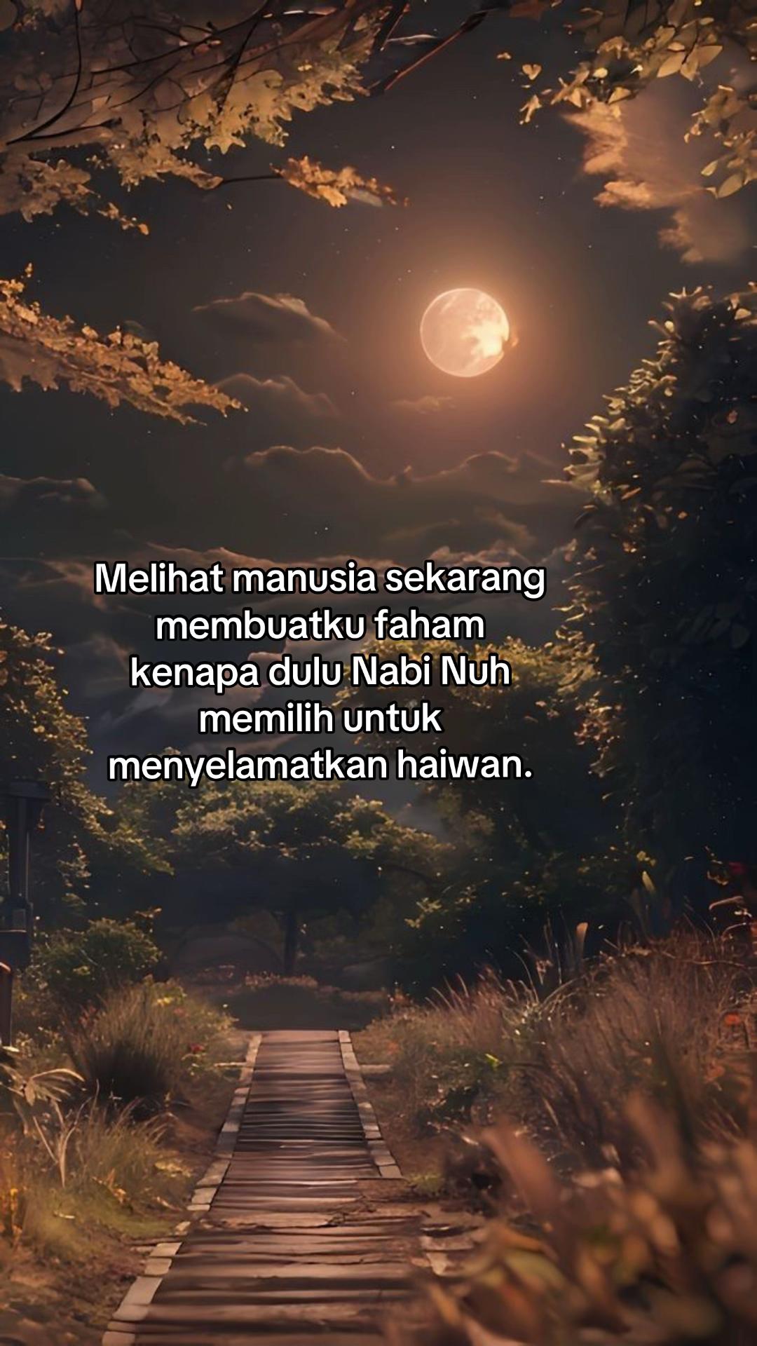 @Analia Kim