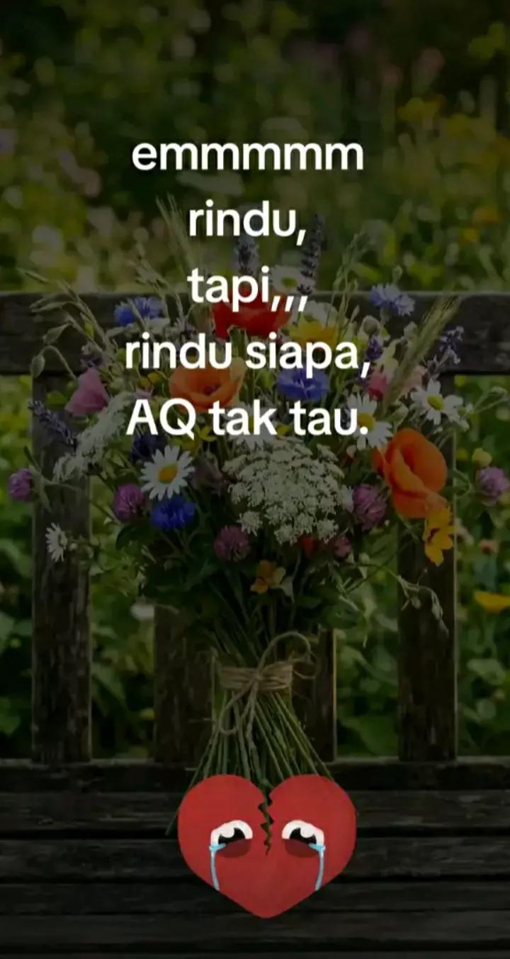 @,,,HS,,,