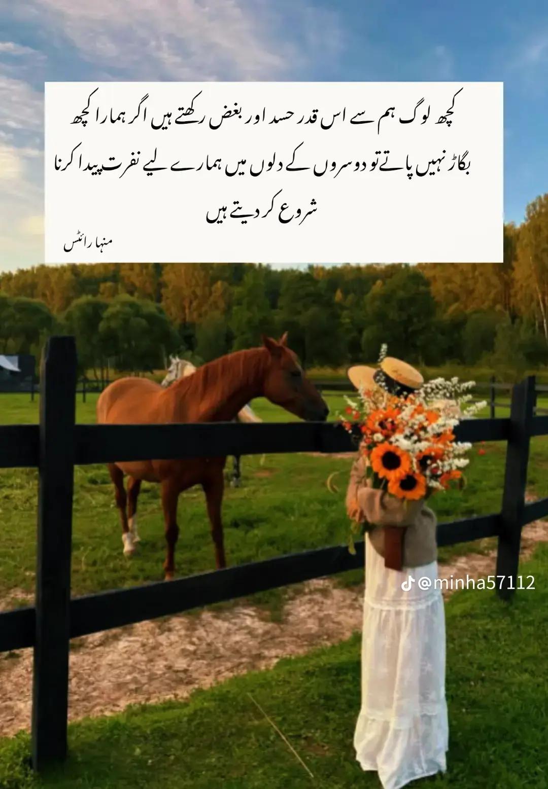 @Alweena Sher