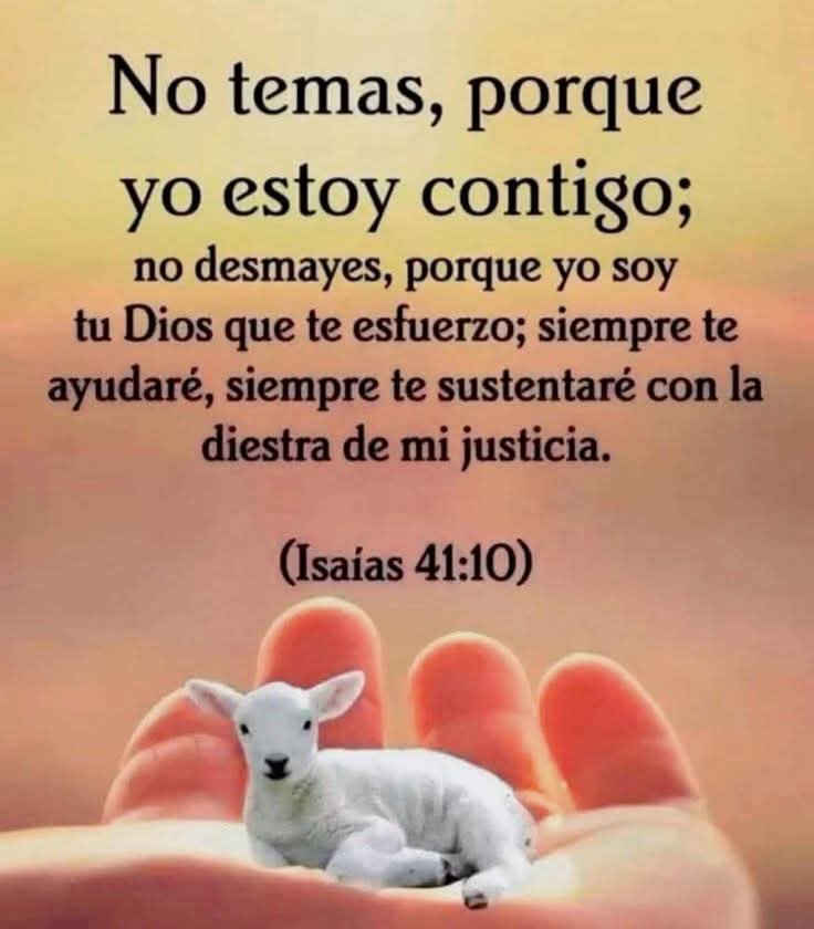 @hola, hola
