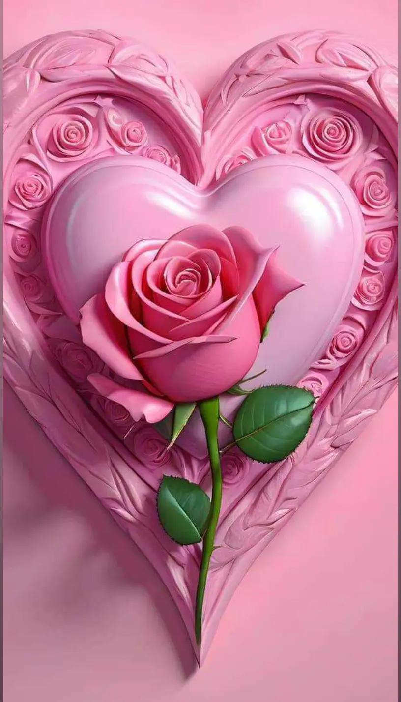 @Abdrahim Khaldi
