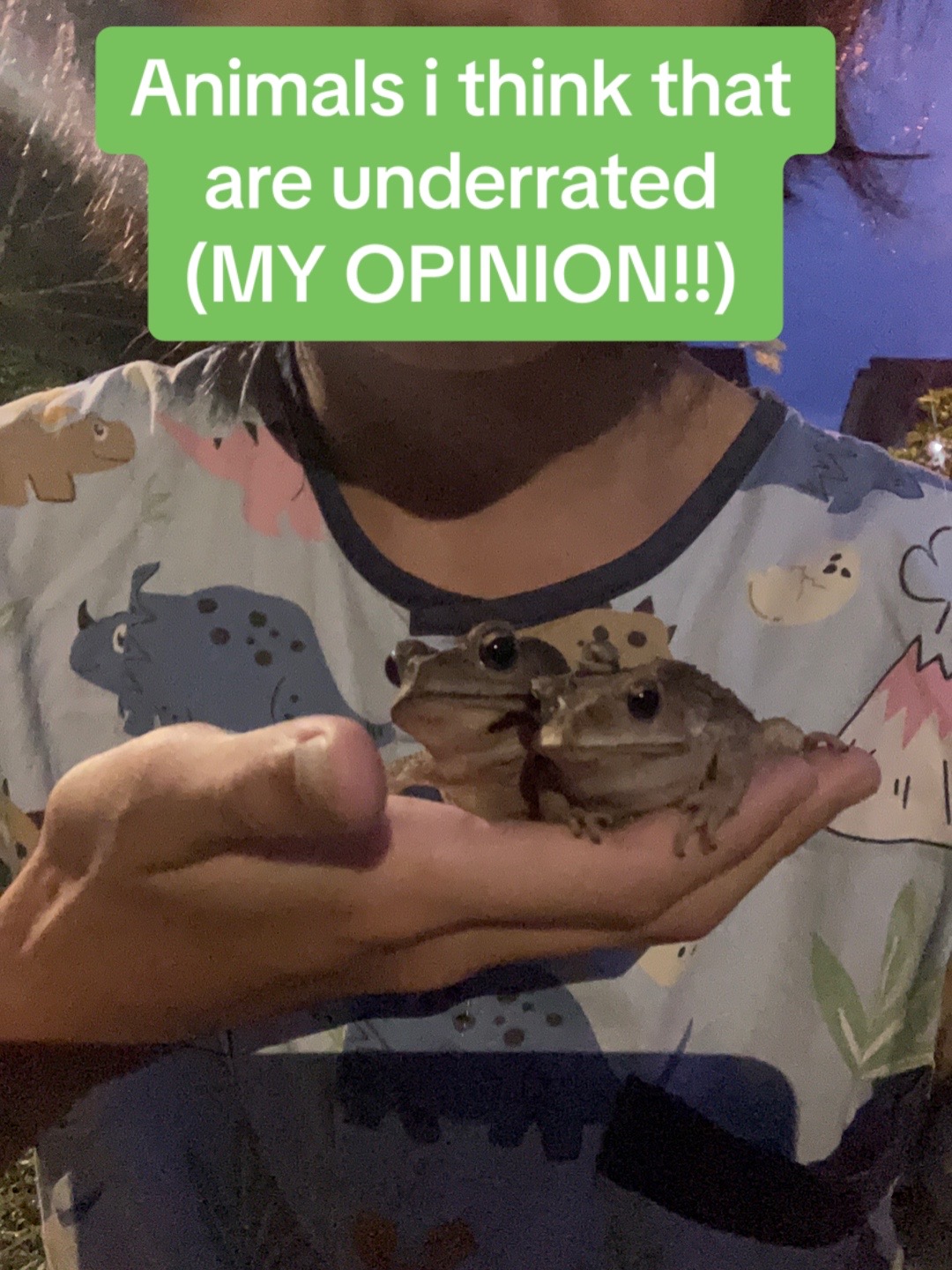 @!! mako || 🦖🦈