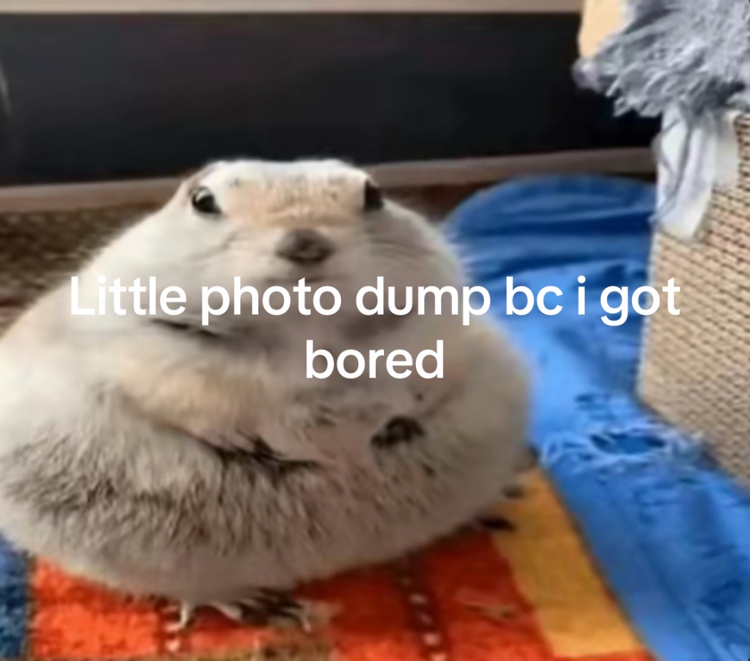 @d¡rty