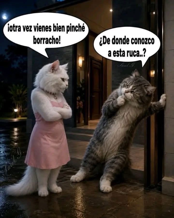 @Luna Sanchez