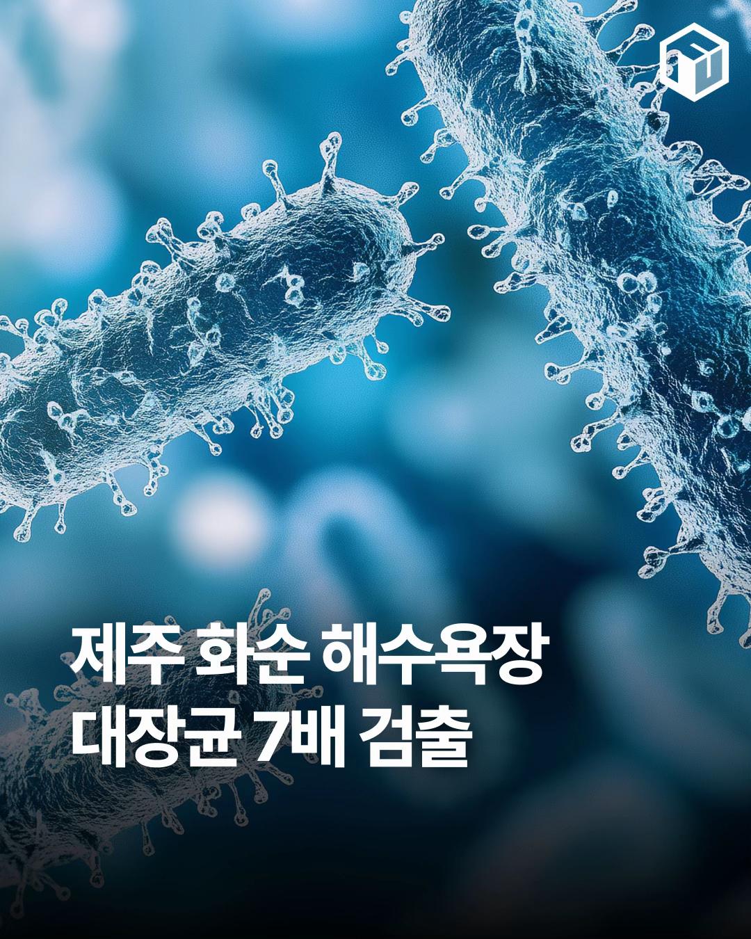 @제주톡톡