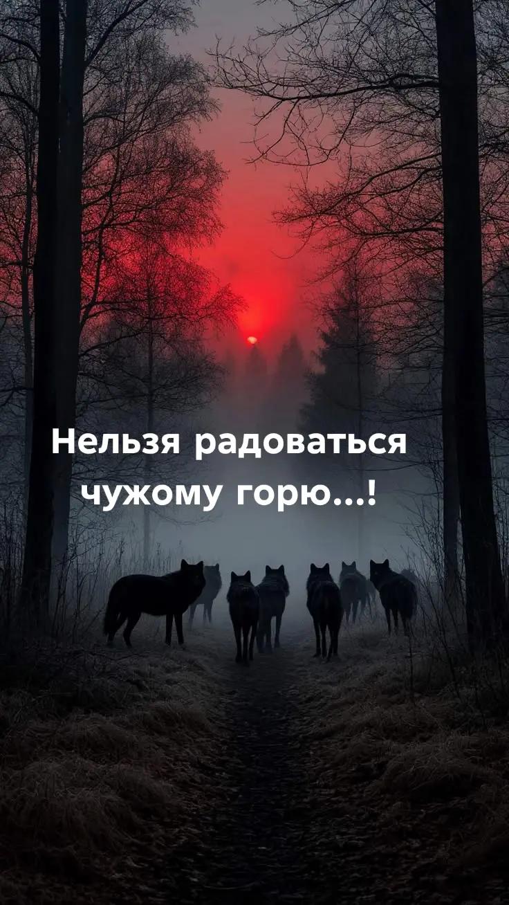 @❤️🇷🇺Девушка из России🇷🇺❤️