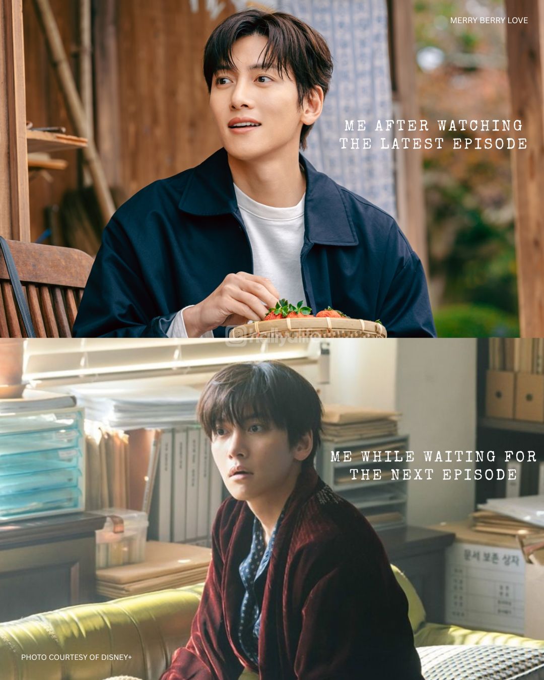 @HallyuLife