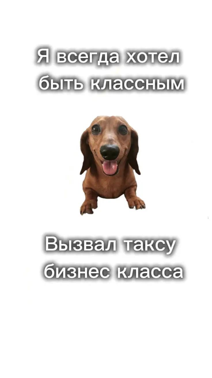 @𝑆𝑘𝑖𝑙𝑙𝑛𝑎𝑙𝑑𝑜