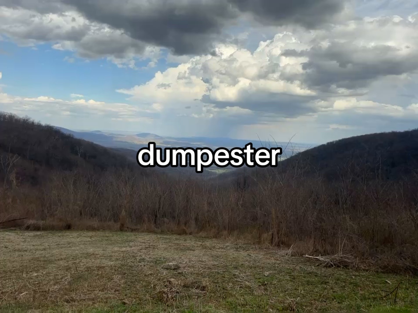 @juju
