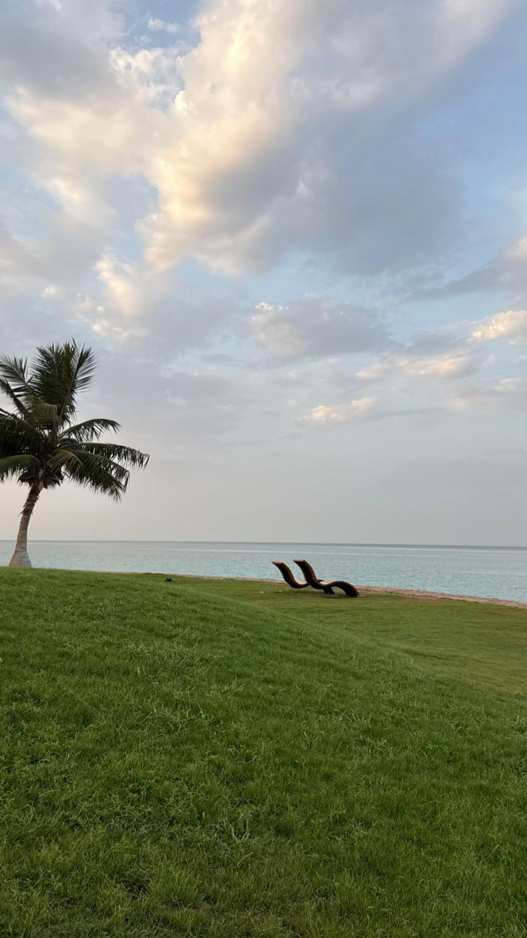 @الهنوف | ينبع 🤍📸
