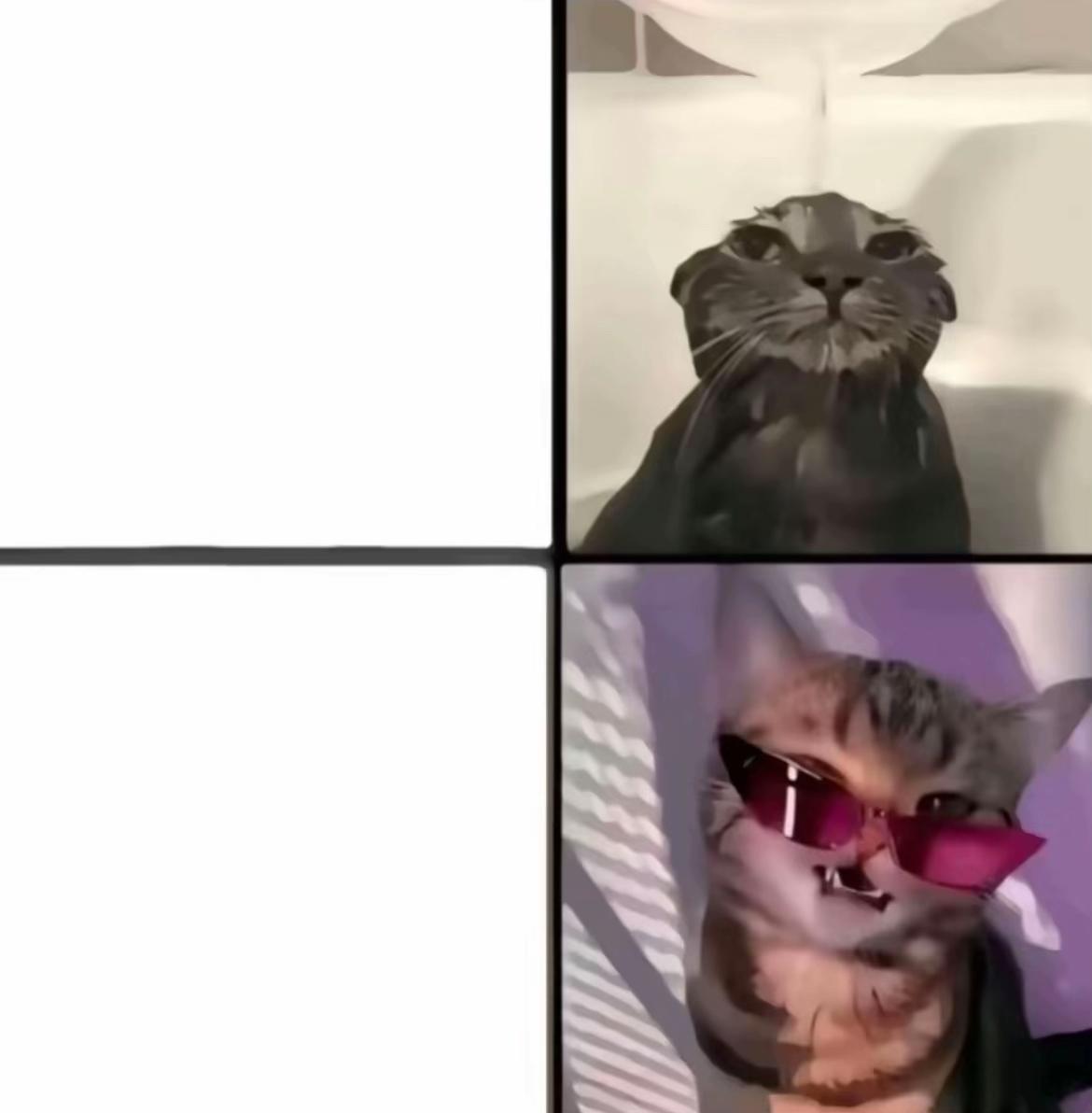 @ComunistFemboy ☭🏳️⚧️