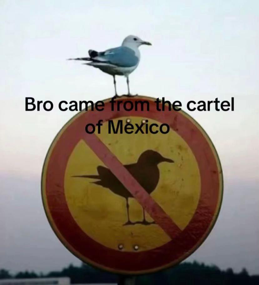 @Anth·ny_0